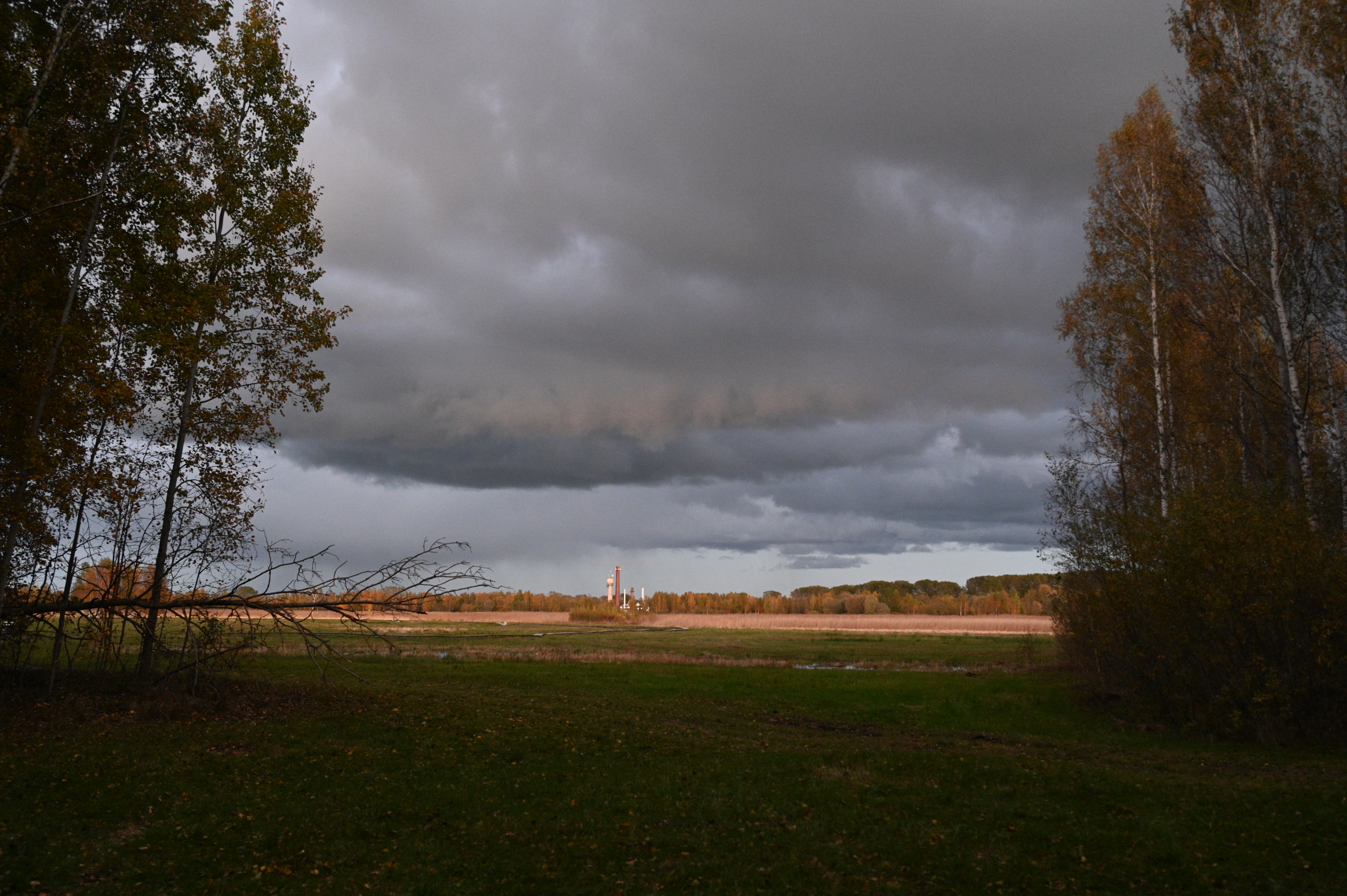 2025/10/18 - walk/DSC_0592.JPG